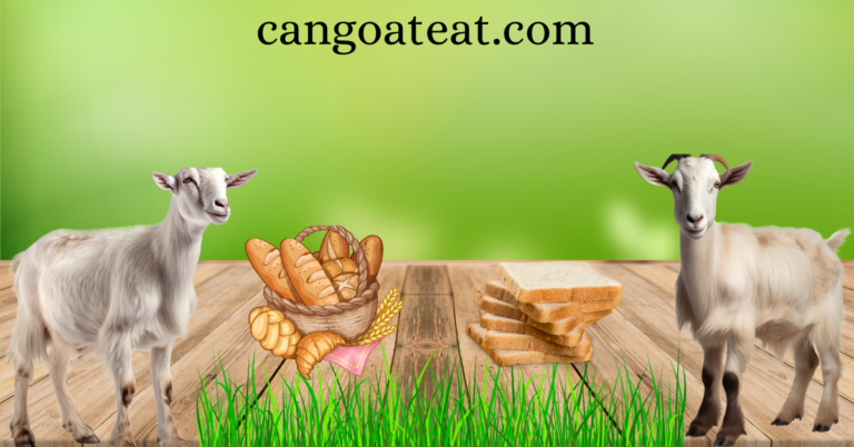 cangoateat.com