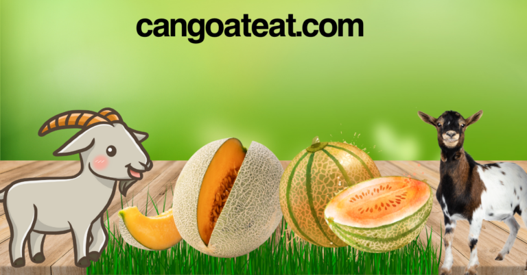 Can goats eat cantaloupe