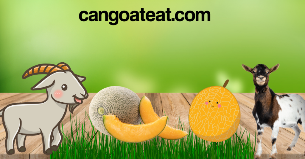 Can goats eat cantaloupe