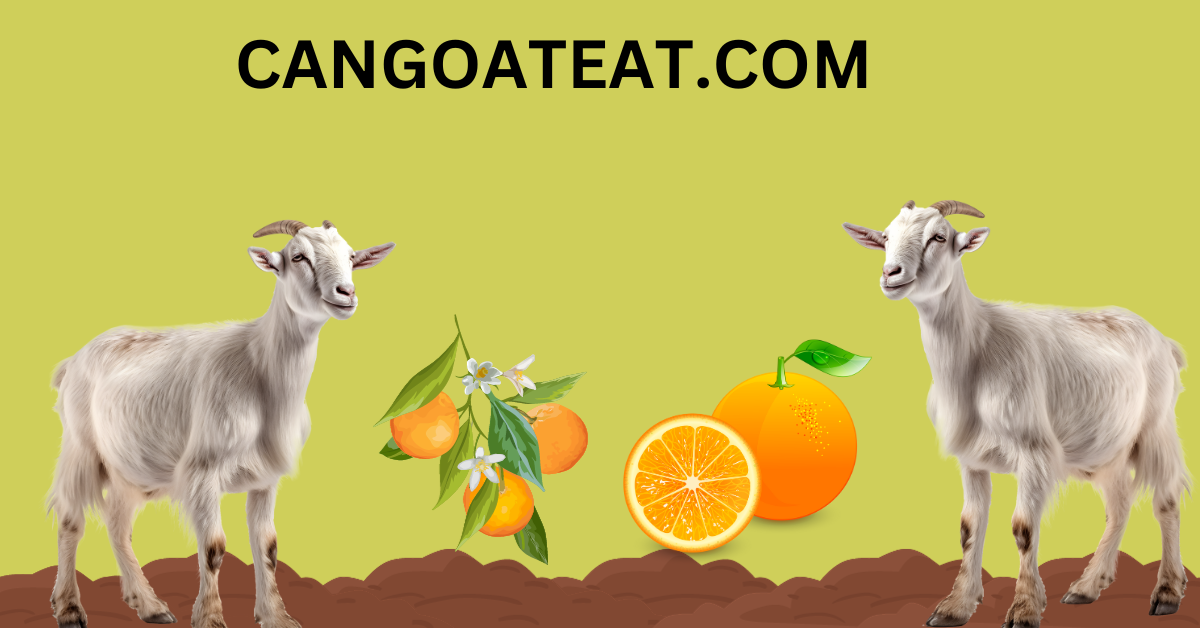 CAN GOATS EAT ORANGES