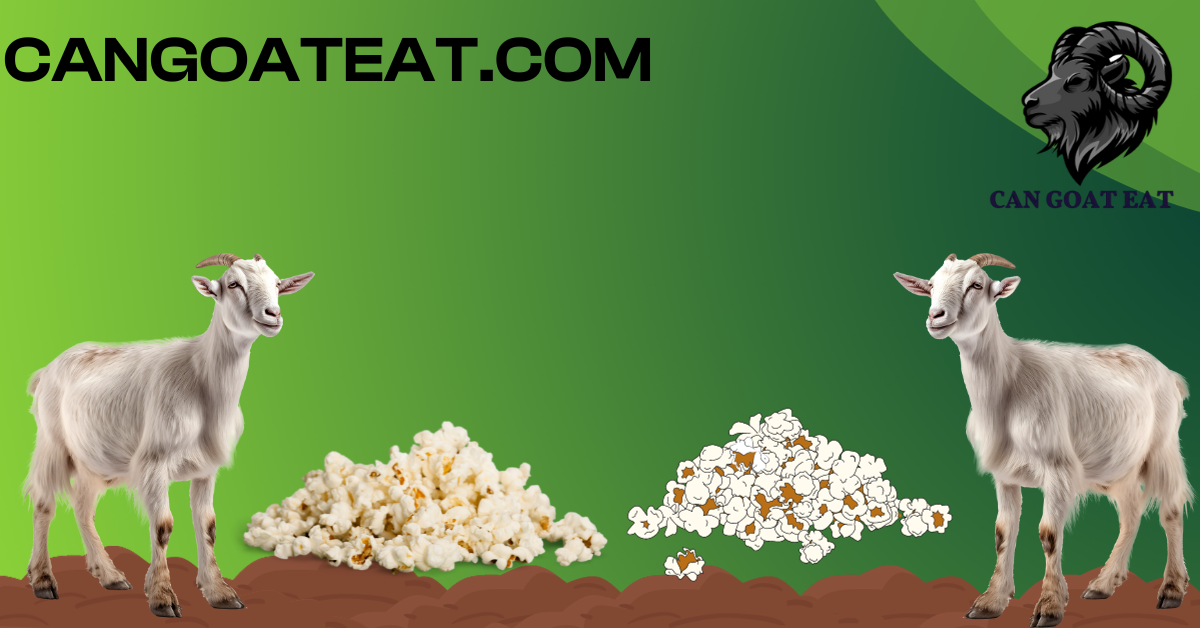 Can Goats Eat Popcorn