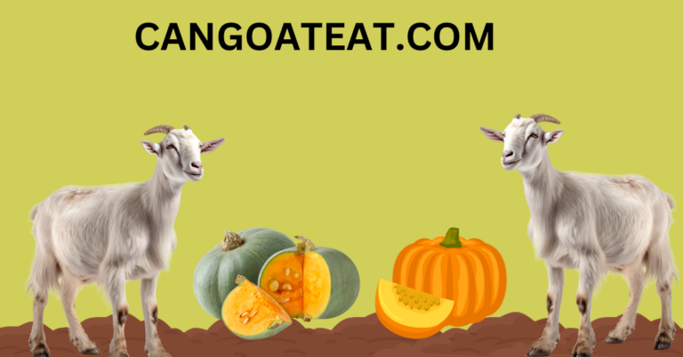 Can goats eat Squash?