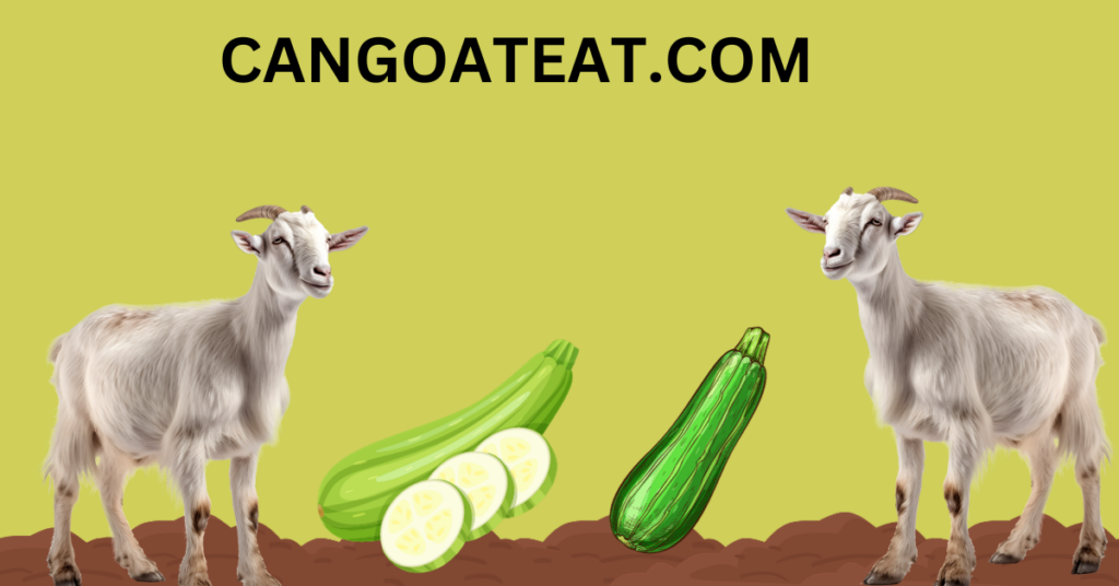 Can goats eat Squash