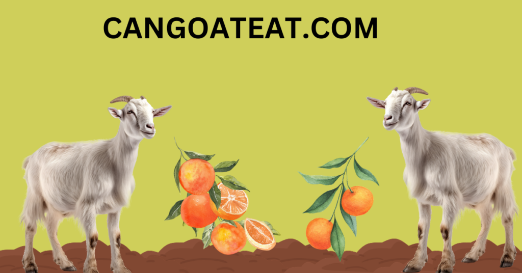 CAN GOATS EAT ORANGES