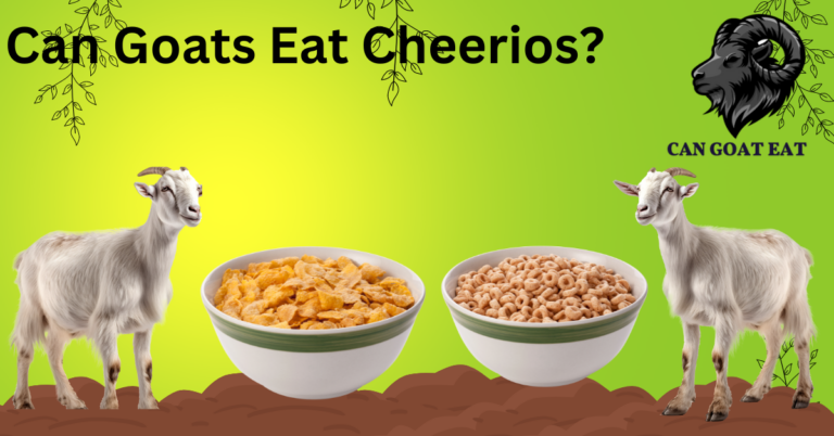 Can goats eat Cheerios