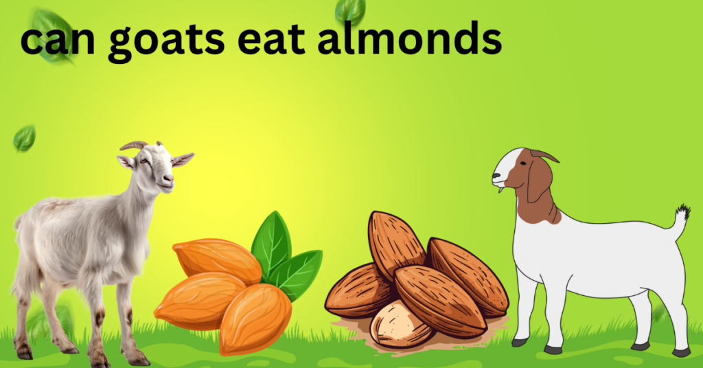 can goats eat almonds