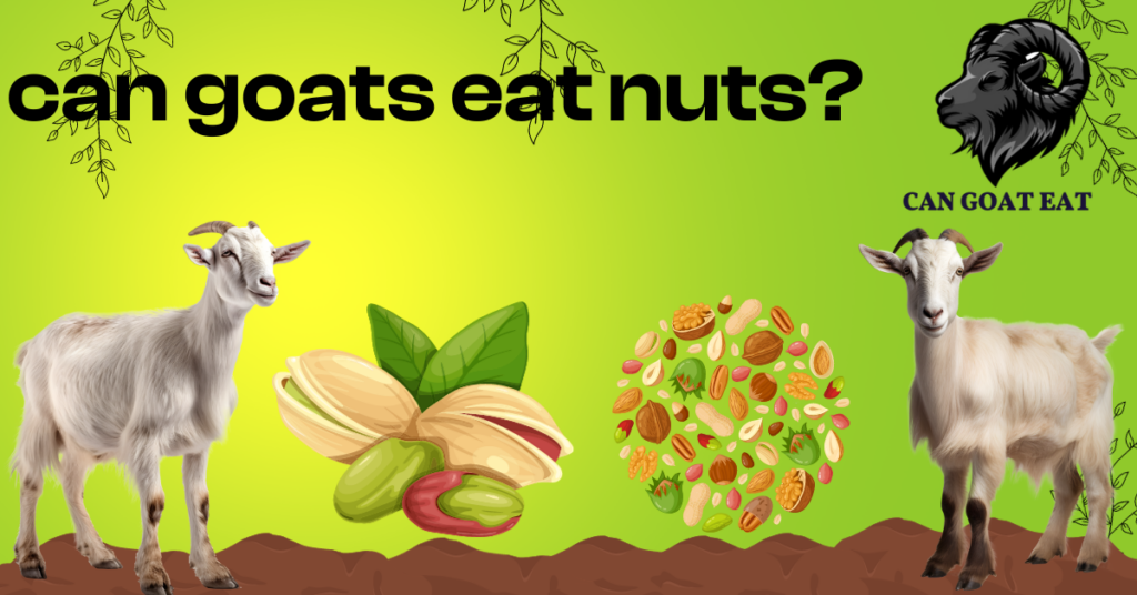 Can Goats Eat Nuts?