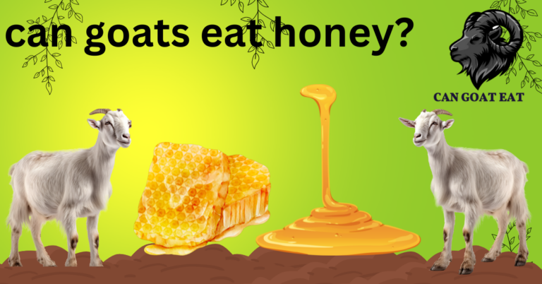 Can Goats Eat Honey?