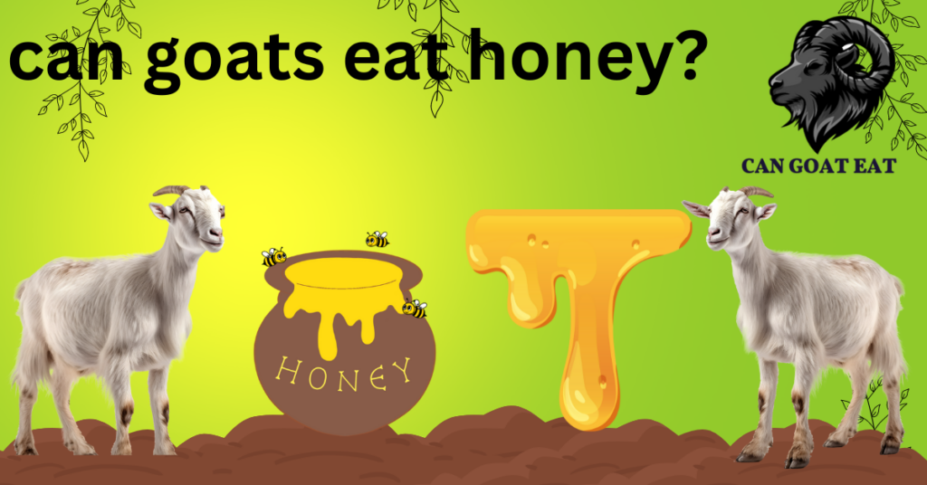 Can Goats Eat Honey?