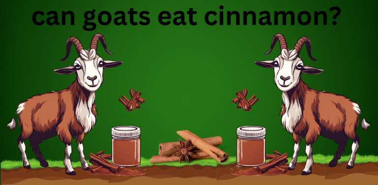 can goats eat cinnamon